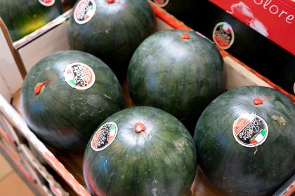 Kalabrien Bauern vernichten Wassermelonen wegen Preisen