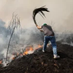 Waldbrände Spanien 2025 Ursachen und Folgen