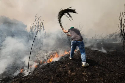 Waldbrände Spanien 2025 Ursachen und Folgen
