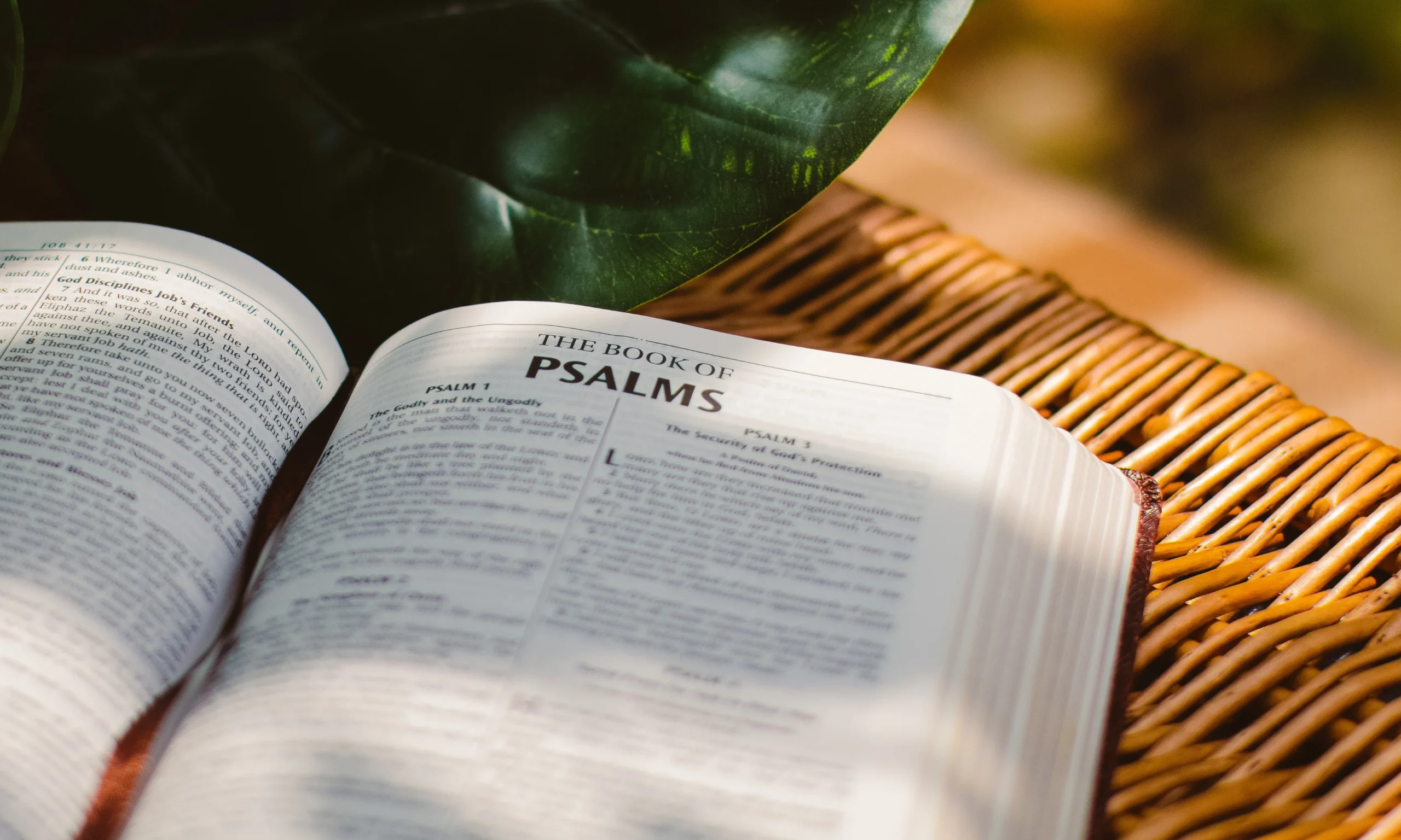 Warum darf man Psalm 108 „Fluch Davids“ nicht lesen