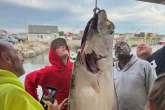 Der 13-jährige Jackson Denio fing vor New Hampshire einen Heilbutt von 80 kg und 1,75 m Länge. Sein Fang könnte Weltrekord werden.
