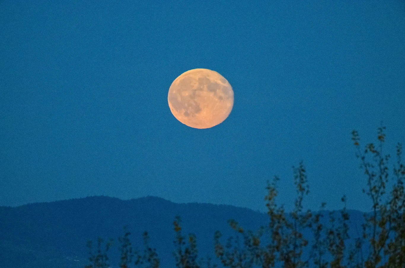 Horoskop zum Vollmond am 1. Februar 2026: Ratschläge für alle Sternzeichen