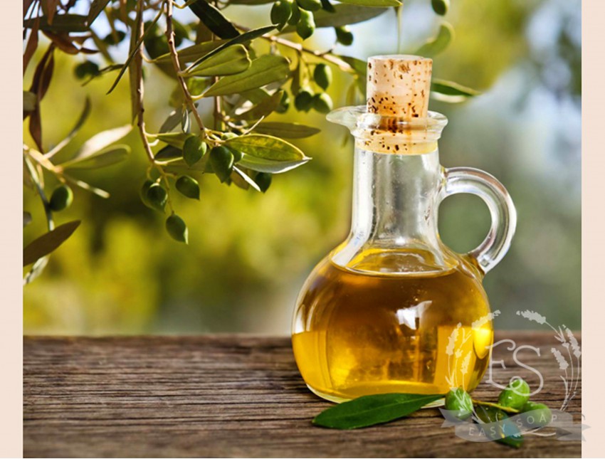 Olivenöl-Test 2026: Preise, Qualität und überraschende Verlierer