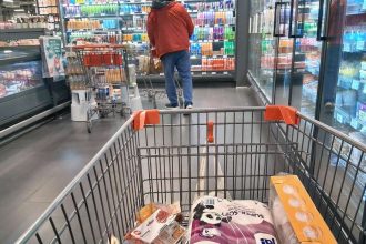 Rückruf bei Rewe und anderen Märkten: Topokki wegen Bacillus cereus betroffen