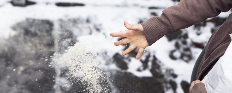 NABU setzt sich durch: Privater Einsatz von Streusalz in Berlin untersagt