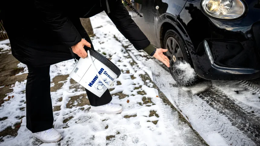 NABU setzt sich durch: Privater Einsatz von Streusalz in Berlin untersagt