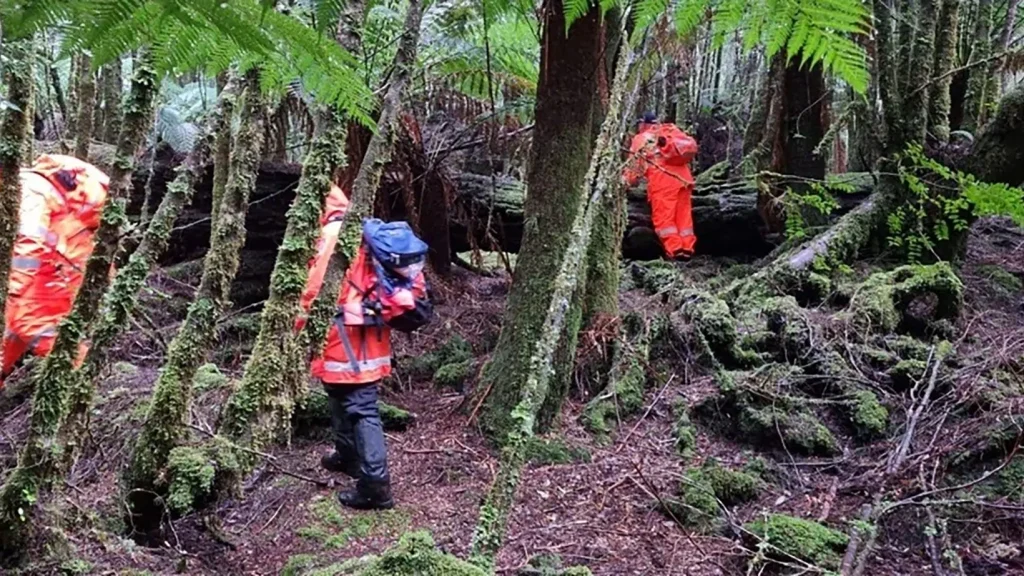 Celine Cremer in Tasmanien gestorben: Was mit der belgischen Touristin geschah
