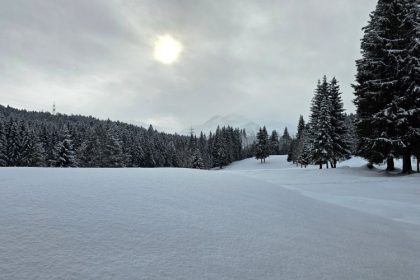 Wetter Deutschland: Spätwinter mit Auf und Ab – Erwärmung ab Samstag möglich