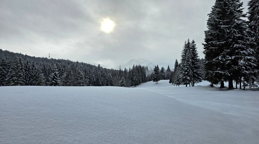 Wetter Deutschland: Spätwinter mit Auf und Ab – Erwärmung ab Samstag möglich