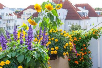 Balkonpflanzen im MietrechtЬ in Deutschland: Welche Regeln für Pflanzen, Hochbeete und Blumenkästen gelten