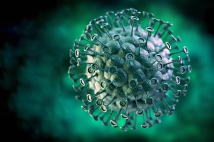 Bornavirus-Infektion in Oberbayern: Wie gefährlich ist die Krankheit wirklich.Symptome, Übertragung und Behandlung