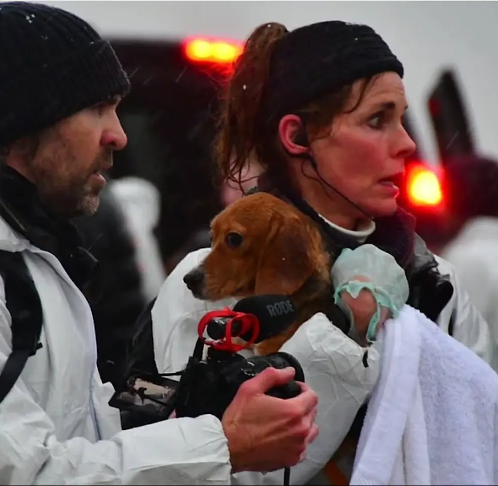 Baywatch-Ikone Alexandra Paul festgenommen: Grund und Details der spektakulären Aktion