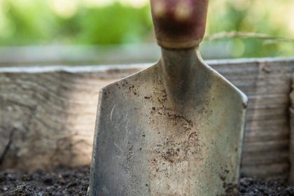 Welche Gartenarbeiten sind sonntags in Deutschland verboten – und welche erlaubt?