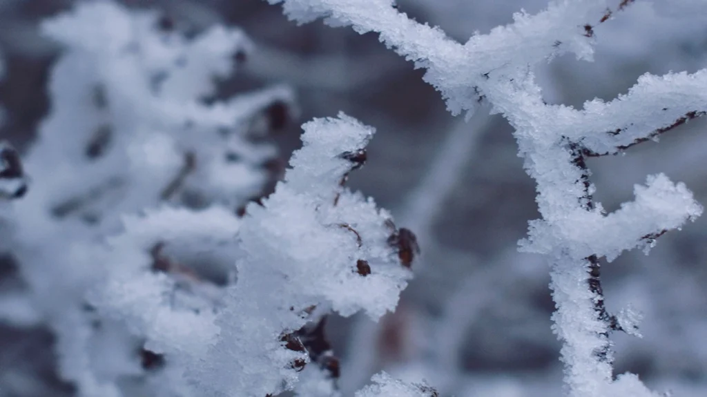 Das Wetter in Deutschland im März 2026 überrascht: Meteorologen prognostizieren bis zu 30 cm Schnee