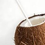 Edeka ruft Bio-Trinkkokosnüsse zurück: Gefahr durch Mykotoxine möglich