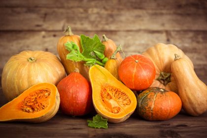 Wann Kürbis in Deutschland 2026 aussäen: Tipps und die besten Sorten für eine reiche Ernte
