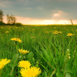 Sommerfeeling im Mai 2026 in Deutschland: Temperaturen steigen auf bis zu 29 Grad