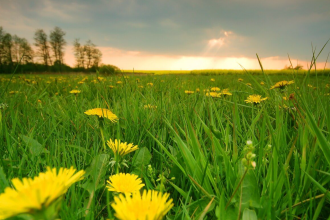 Sommerfeeling im Mai 2026 in Deutschland: Temperaturen steigen auf bis zu 29 Grad
