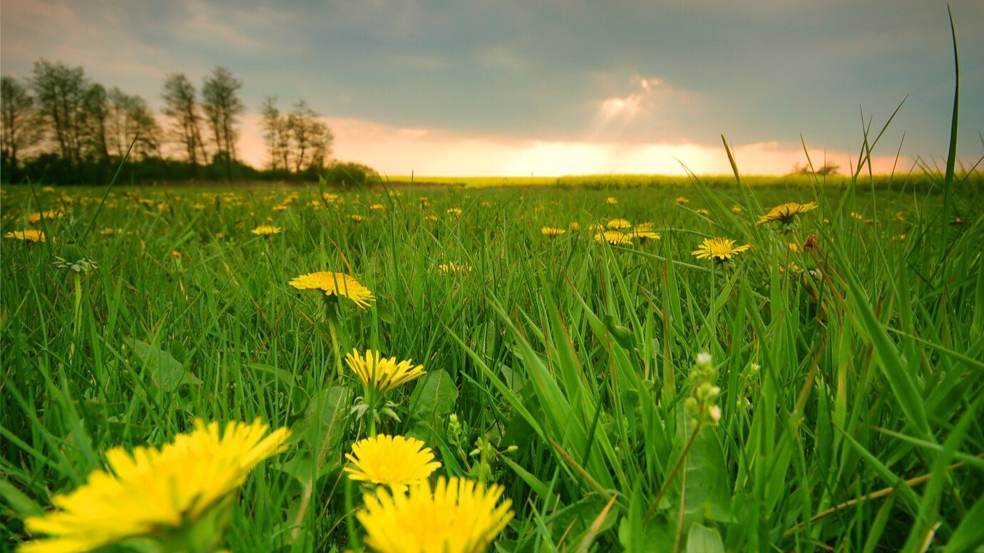 Sommerfeeling im Mai 2026 in Deutschland: Temperaturen steigen auf bis zu 29 Grad
