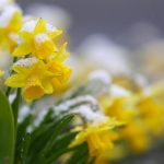 Wetter zu Ostern 2026 in Deutschland: Regen, Sonne und bis zu 20 Grad