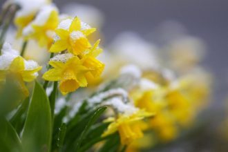 Wetter zu Ostern 2026 in Deutschland: Regen, Sonne und bis zu 20 Grad