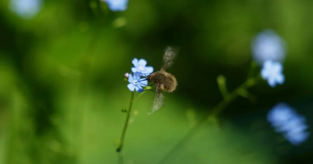 Sommerfeeling im Mai 2026 in Deutschland: Temperaturen steigen auf bis zu 29 Grad