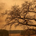 Blutregen in Deutschland möglich: Ursache, Zeitpunkt und Sahara-Staub erklärt