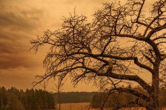 Blutregen in Deutschland möglich: Ursache, Zeitpunkt und Sahara-Staub erklärt