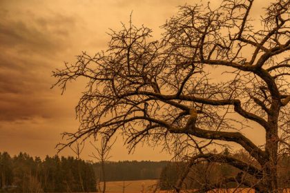 Blutregen in Deutschland möglich: Ursache, Zeitpunkt und Sahara-Staub erklärt