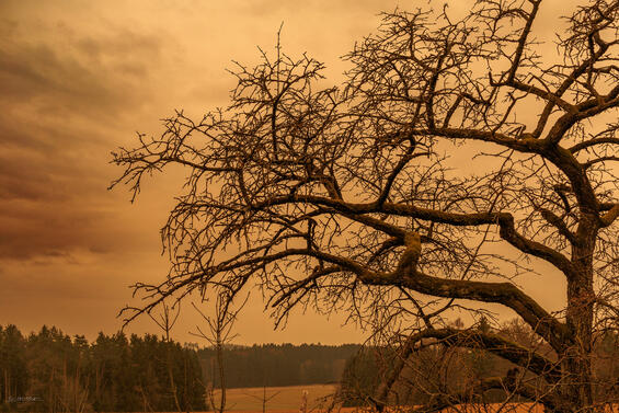 Blutregen in Deutschland möglich: Ursache, Zeitpunkt und Sahara-Staub erklärt