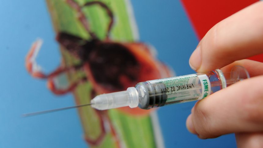 Zecken-Impfung Deutschland: Wer sich 2026 schützen sollte. Termine, Kosten und Schutz