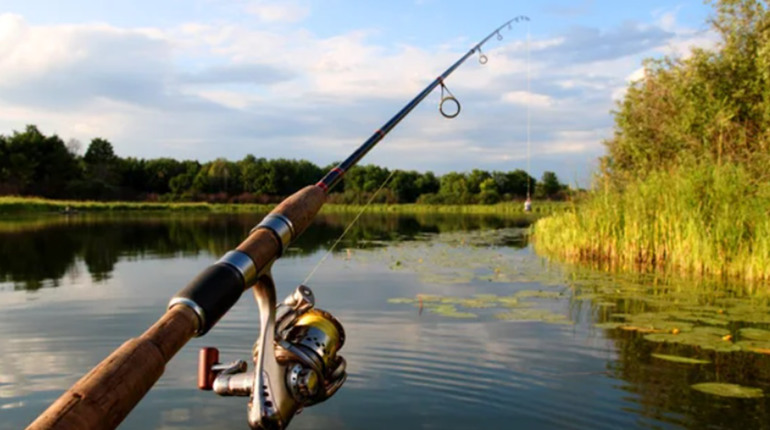 Angelkalender Mai 2026: Günstige Tage und Tipps für Angler