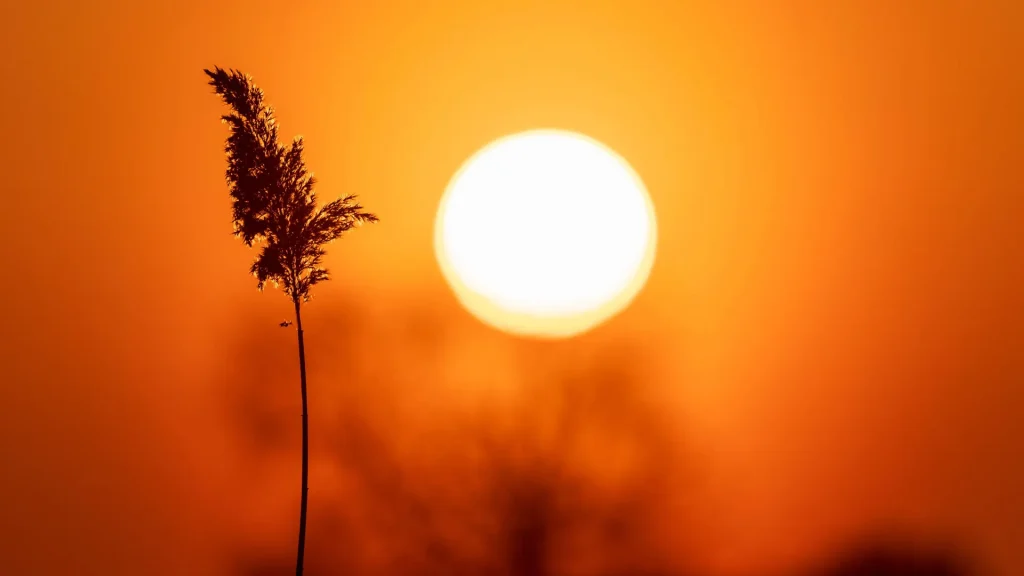 Blutregen in Deutschland möglich: Ursache, Zeitpunkt und Sahara-Staub erklärt