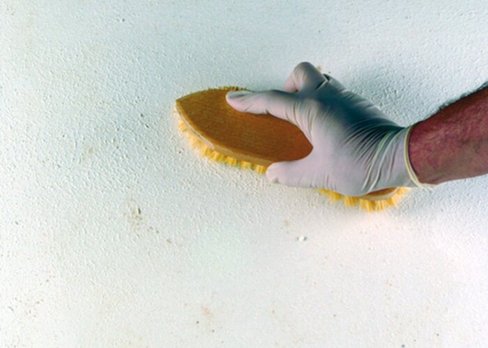 Schimmel in der Wohnung entfernen: Ursachen, Hausmittel und wann der Vermieter zahlt