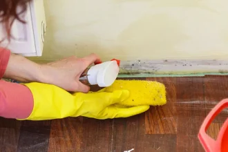 Schimmel in der Wohnung entfernen: Ursachen, Hausmittel und wann der Vermieter zahlt