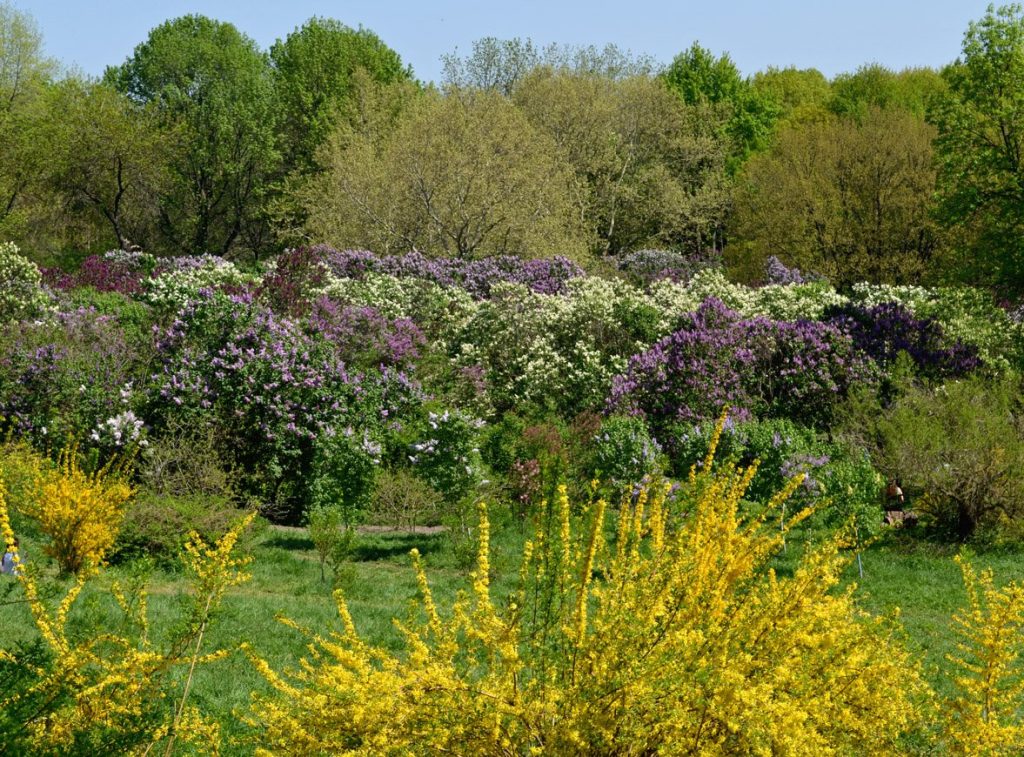 Sommerfeeling im Mai 2026 in Deutschland: Temperaturen steigen auf bis zu 29 Grad