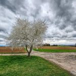 Wetterprognose Ostern 2026 in Baden-Württemberg: Sonne, Regen und Gewitter
