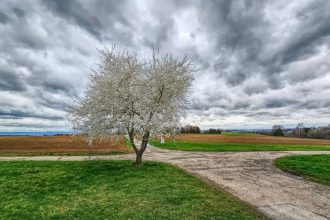 Wetterprognose Ostern 2026 in Baden-Württemberg: Sonne, Regen und Gewitter