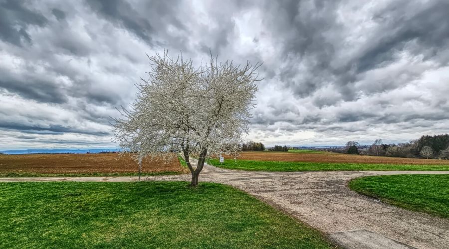 Wetterprognose Ostern 2026 in Baden-Württemberg: Sonne, Regen und Gewitter