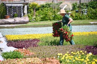 Garten im Frühling: Welche Pflanzen erst nach den Eisheiligen ins Freie sollten