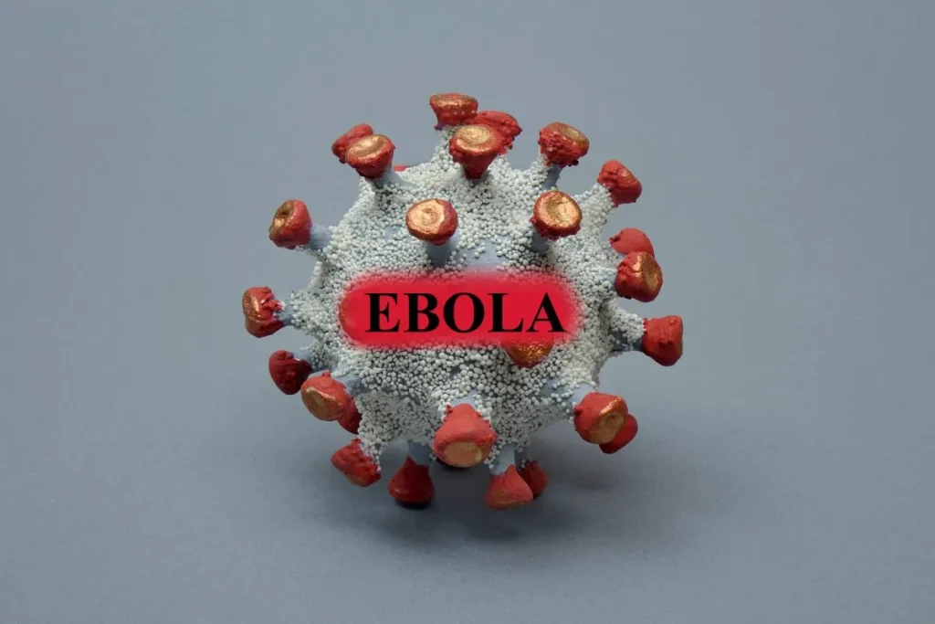 Ebola-Ausbruch 2026: Symptome, Übertragung und Risiko für Deutschland