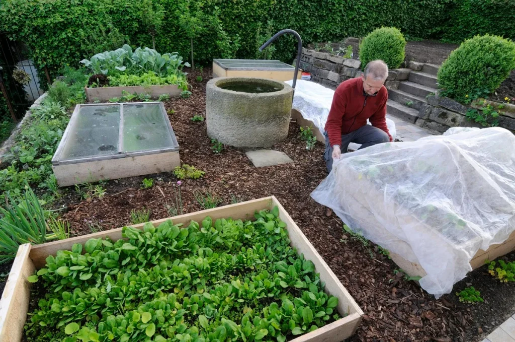 Garten im Frühling: Welche Pflanzen erst nach den Eisheiligen ins Freie sollten