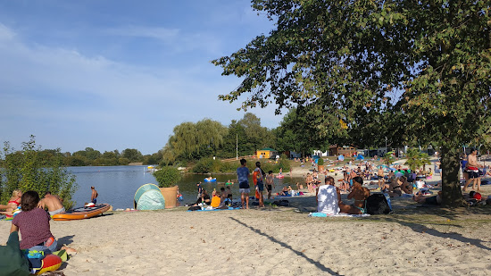Frankfurt am Main im Sommer 2026: Badeseen, Strände und Tipps für die Anreise