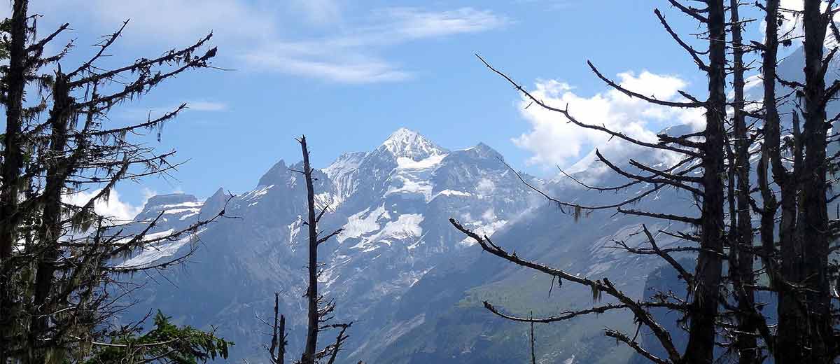 Bergsteiger stirbt nach Spaltensturz am Blüemlisalphorn. Ursache und was passiert ist