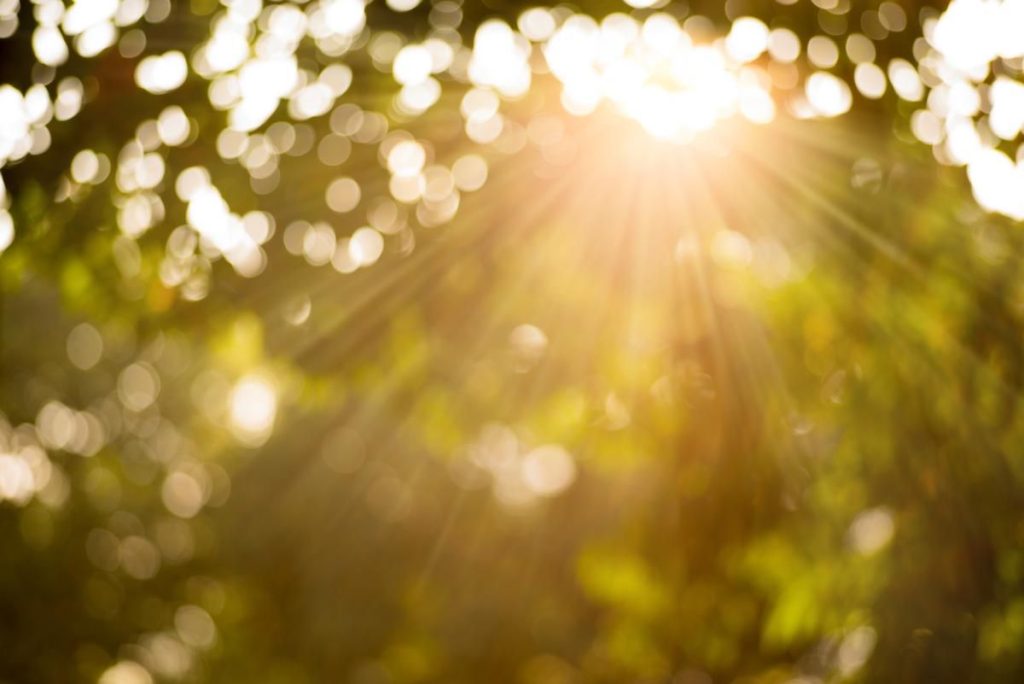 Wetter im August 2026 in Deutschland: Prognose, ob starke Hitze kommt