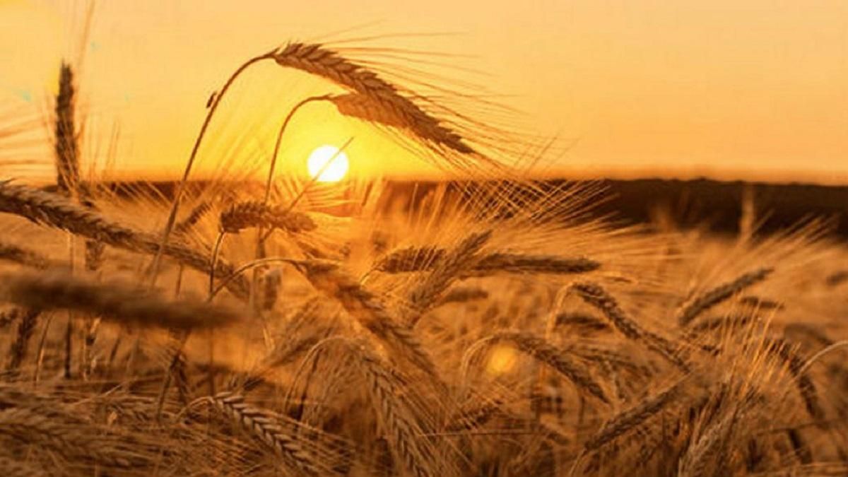 Wetter im August 2026 in Deutschland: Prognose, ob starke Hitze kommt
