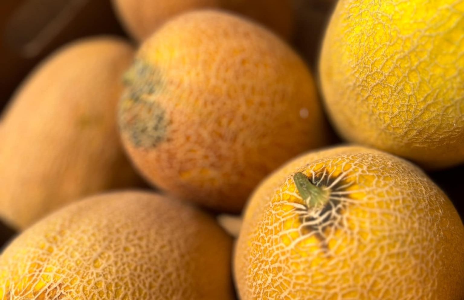 Süße Melone erkennen: Diese Merkmale verraten Reife und Geschmack