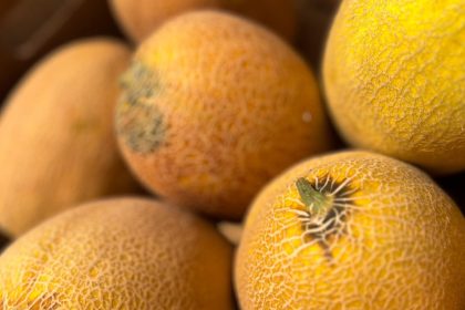 Süße Melone erkennen: Diese Merkmale verraten Reife und Geschmack