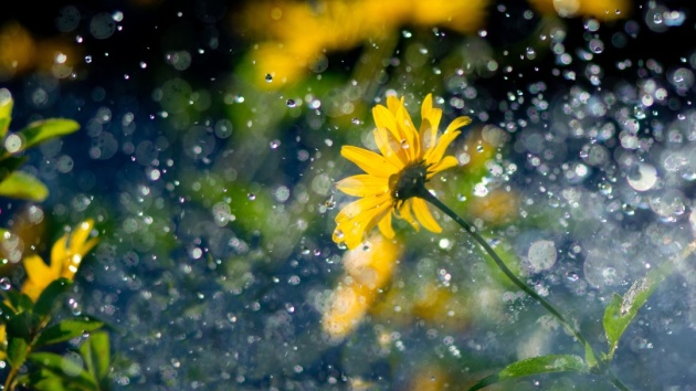 Sankt Afra und das Wetter. Was die Regenregel für Deutschland bedeutet zum 7. August
