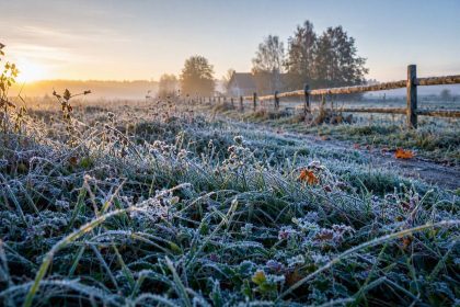 Erster Bodenfrost im August: Wann kommt der erste Schnee nach Deutschland?